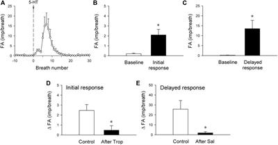 Mechanisms Involved in the Stimulatory and Inhibitory Effects of 5-Hydroxytryptamine on Vagal Mechanosensitive Afferents in Rat Lung